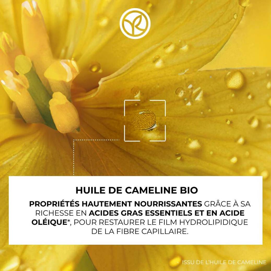 Shampooing Crème Ultra-Nourrissant Sans Sulfate