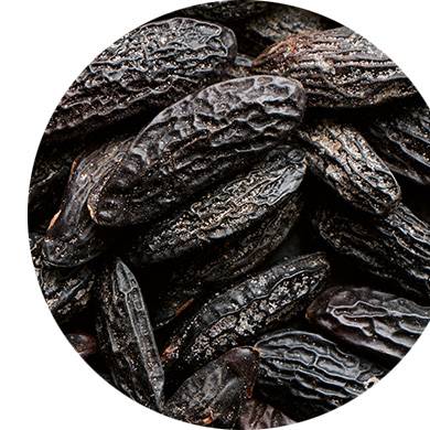 Lavande, Noix de muscade, Fève tonka