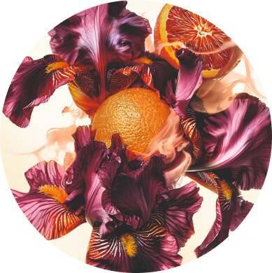 Orange amère, Iris, Encens