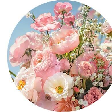 Menthe, Rose, Cèdre