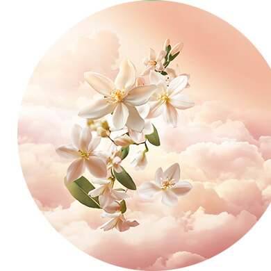 Bergamote, Néroli, Fleur d’oranger