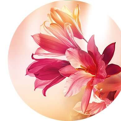 Tuberose, Ylang ylang, Sandalwood