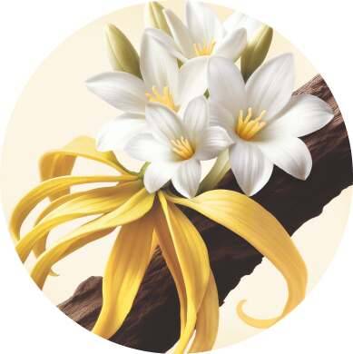 Tuberose, Ylang ylang, Sandalwood