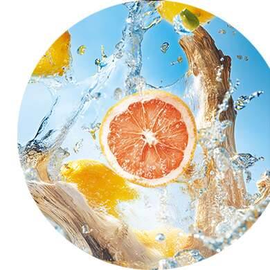 Citron, Pamplemousse, Cèdre