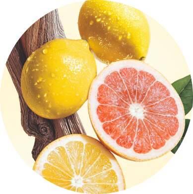 Citron, Pamplemousse, Cèdre
