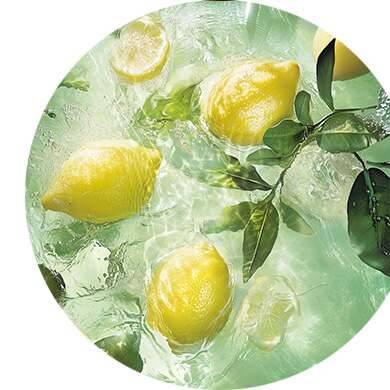 Citron, Rose, Thé noir