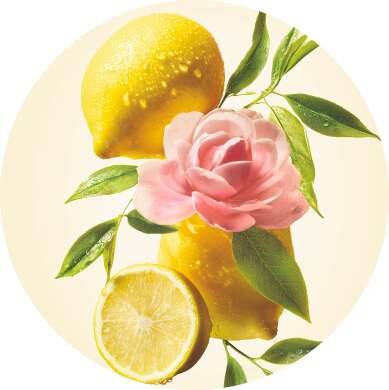Citron, Rose, Thé noir