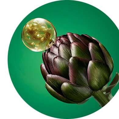 Le Phyto-Extrait de Cynara de Bretagne