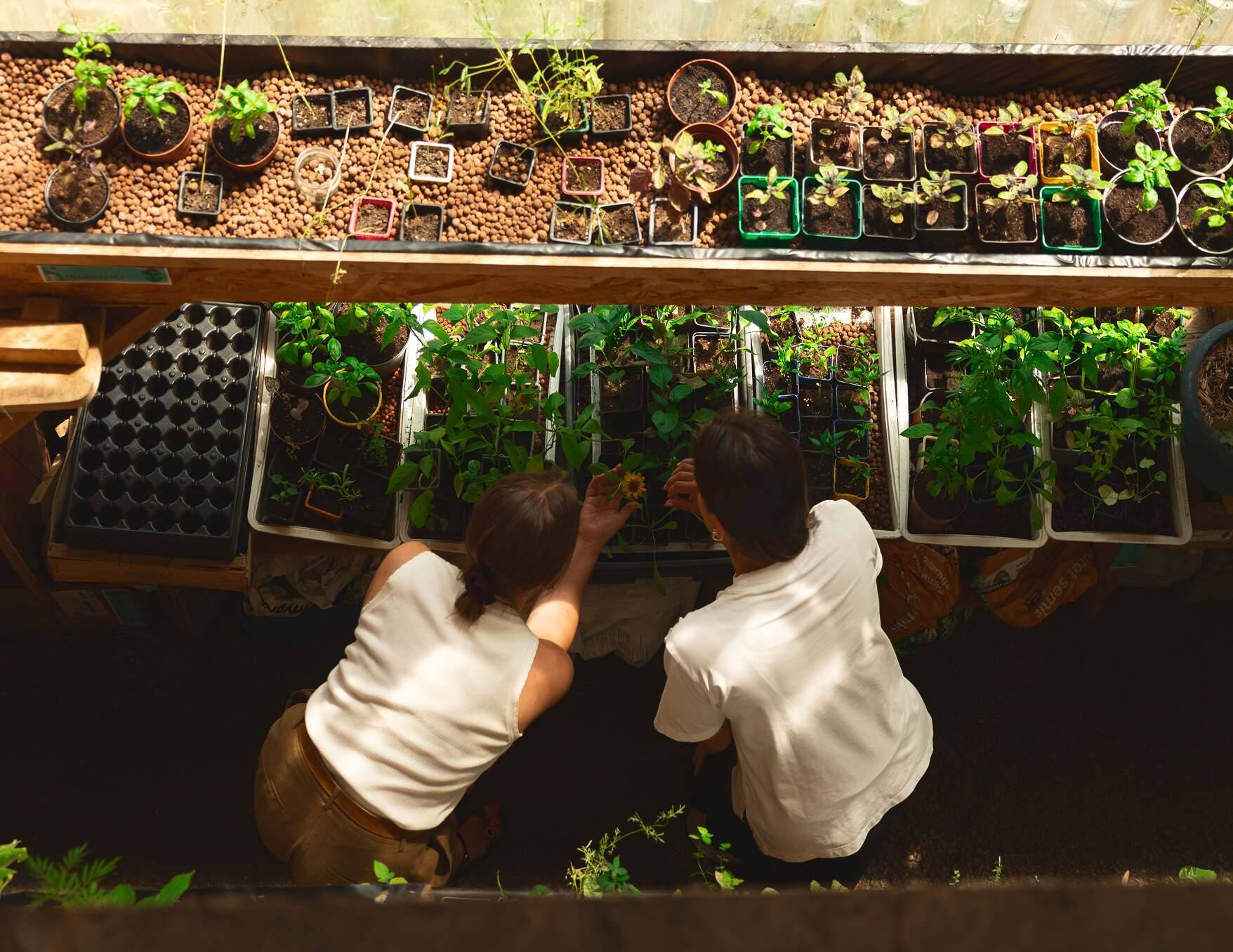 Deux femmes de dos vue du dessus jardinent