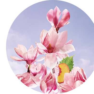 Pêche upcyclée, Magnolia et Patchouli