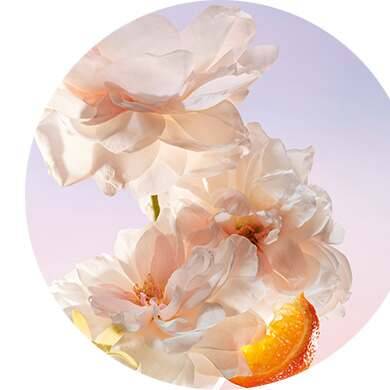 Mandarine, Rose et Vanille